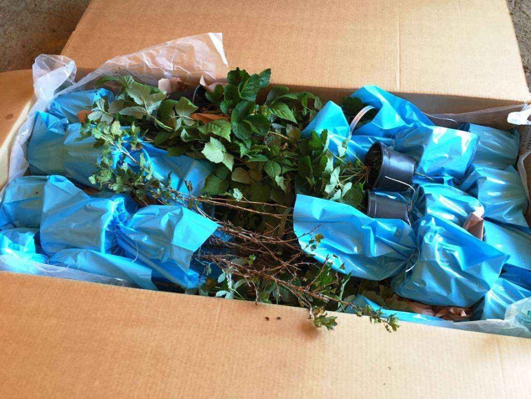 Imballaggio pacchi pesanti